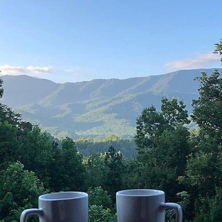 Tennessee Roots By Stony Brook Cabins แกตลิงเบิร์ก ภายนอก รูปภาพ